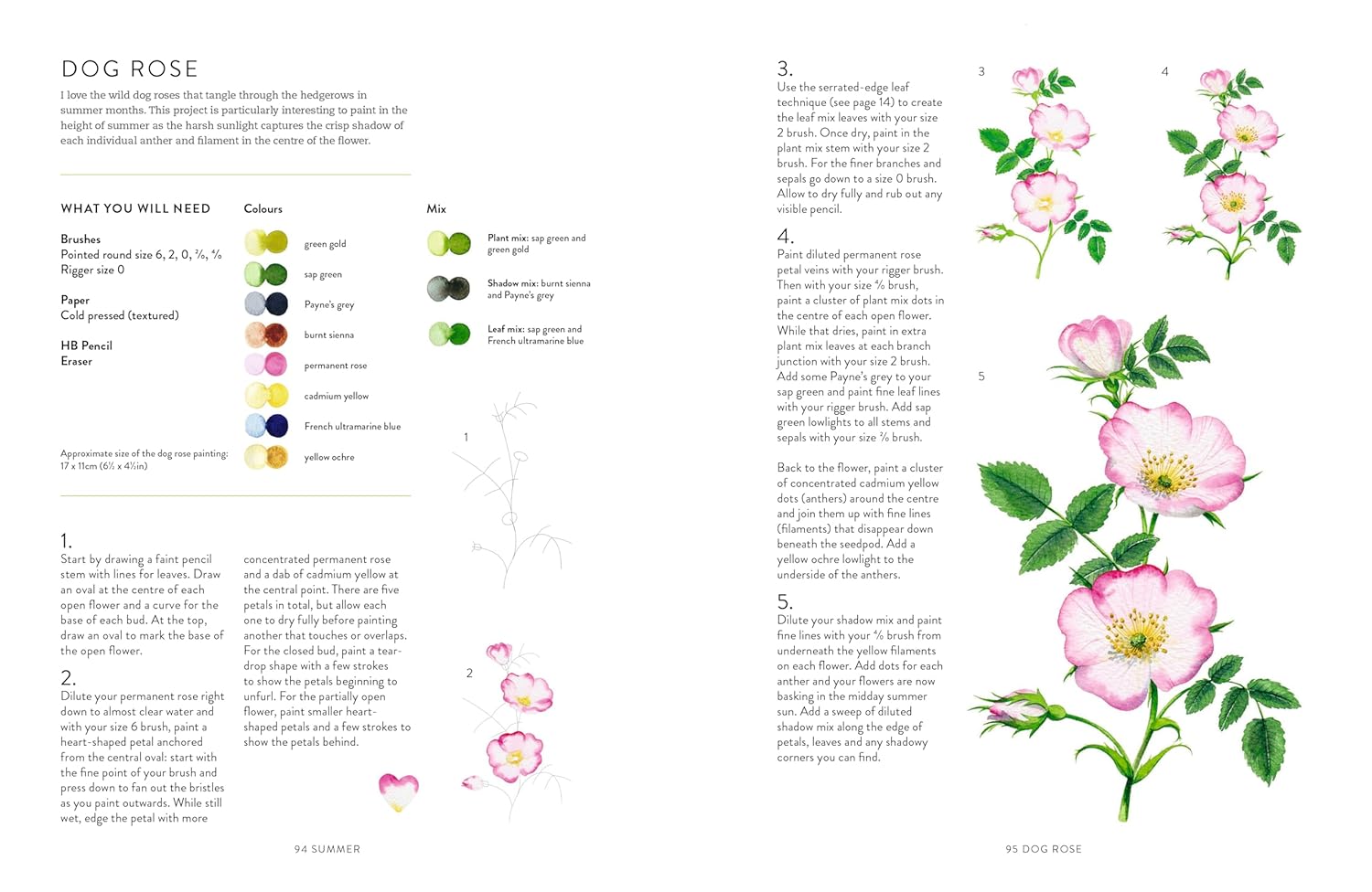 A Year of Watercolour: A seasonal guide to botanical watercolour painting