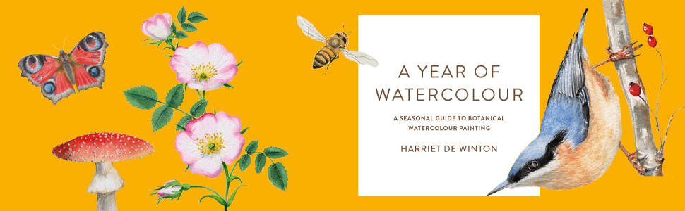 A Year of Watercolour: A seasonal guide to botanical watercolour painting