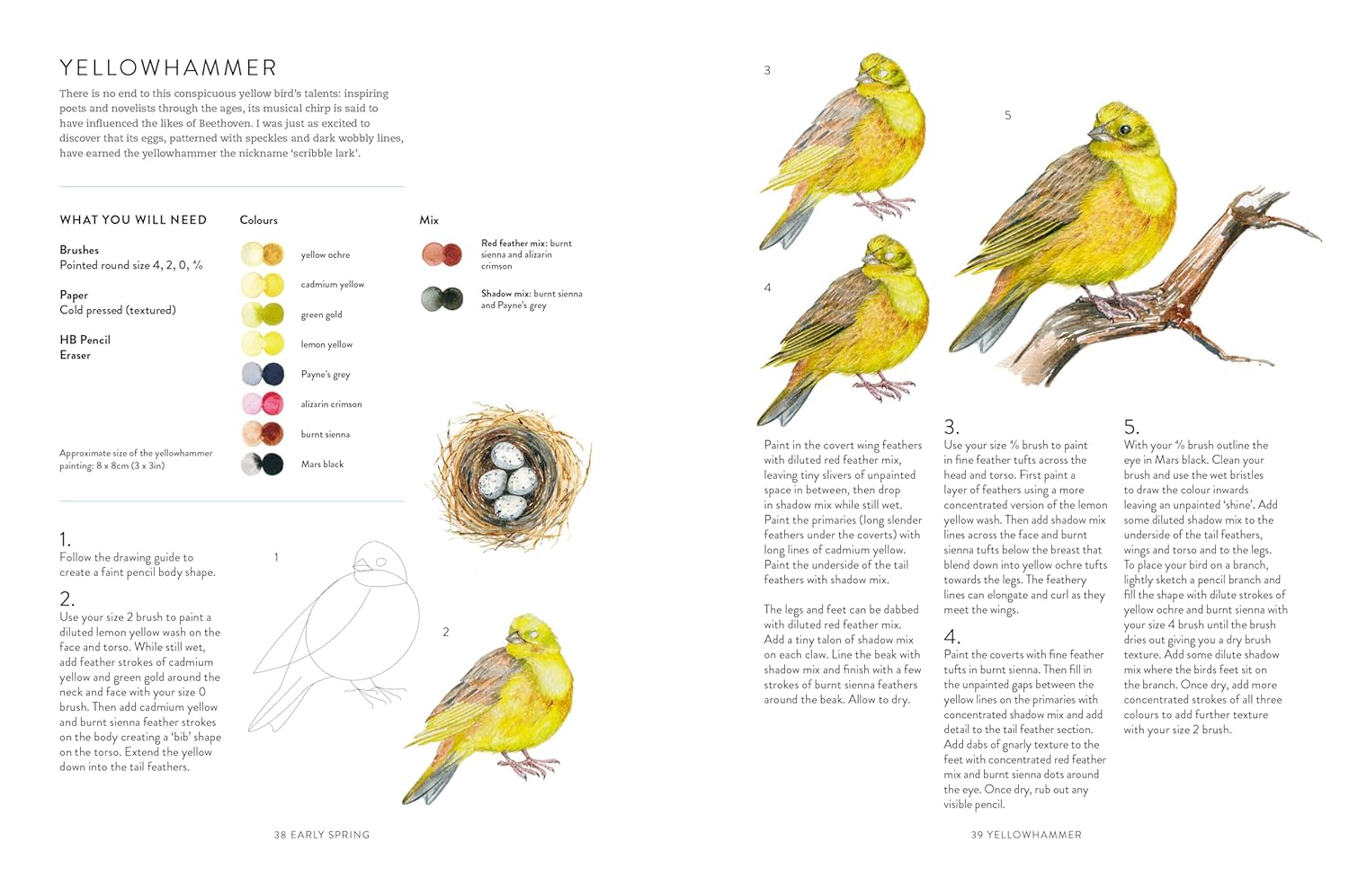 A Year of Watercolour: A seasonal guide to botanical watercolour painting